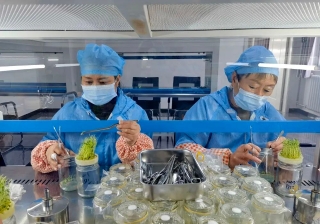 微信图片_20240208181201