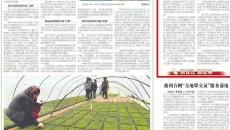 BB电子·(中国区)试玩平台-BB电子游戏官网