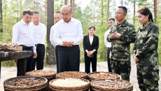 BB电子·(中国区)试玩平台-BB电子游戏官网